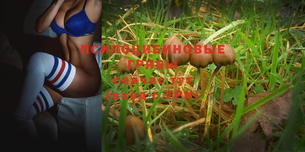 MDMA Premium VHQ Зерноград
