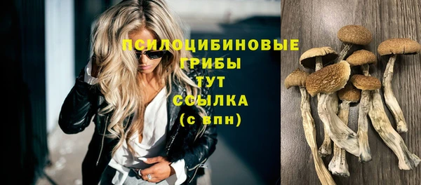 MDMA Premium VHQ Зерноград