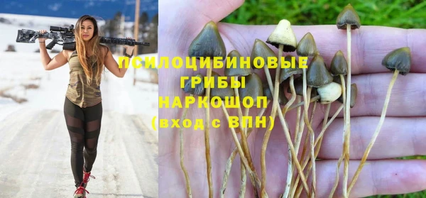 MDMA Premium VHQ Зерноград