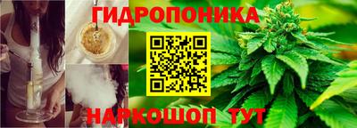 ешки Краснознаменск