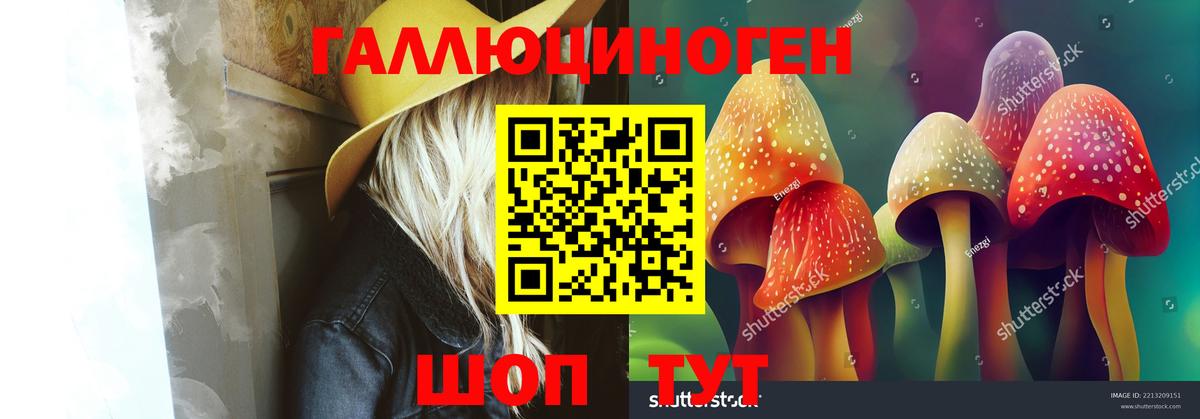 Черемхово  Галлюциногенные грибы мухоморы  Вход с VPN 